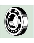 Rillenkugellager 0010/0020